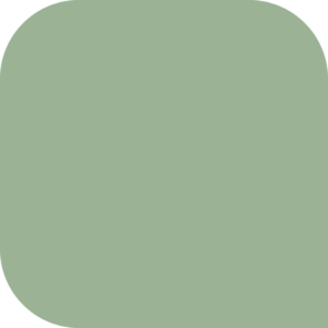 GELOSOPHY #139 POINSETTIA 7ML - Afbeelding 2