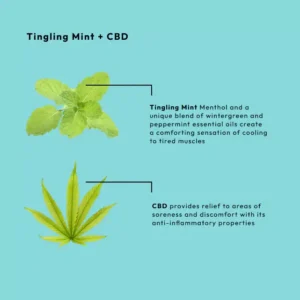 BCL SPA 4-STEP PACKETTE BOX MINT + CBD - Afbeelding 8